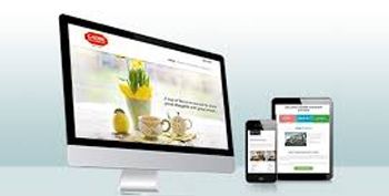 responsive website example or mobile friendly sites design